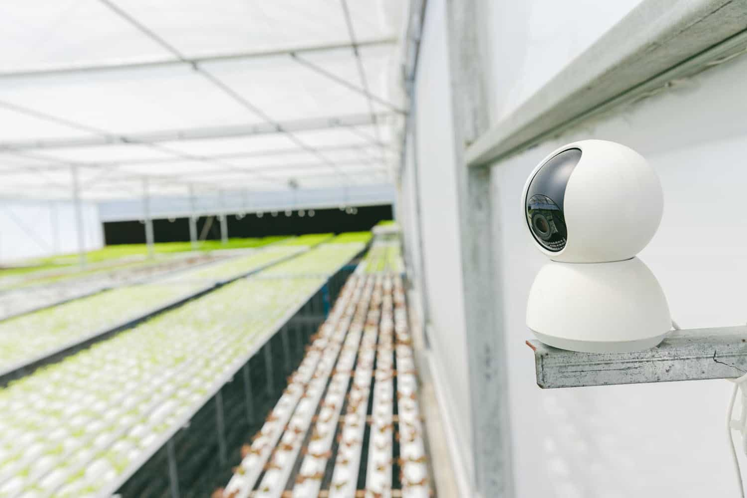 CCTV for farm security - protect farm buildings, livestock and land.