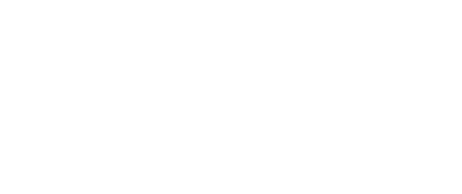 NAPIT logo - white.