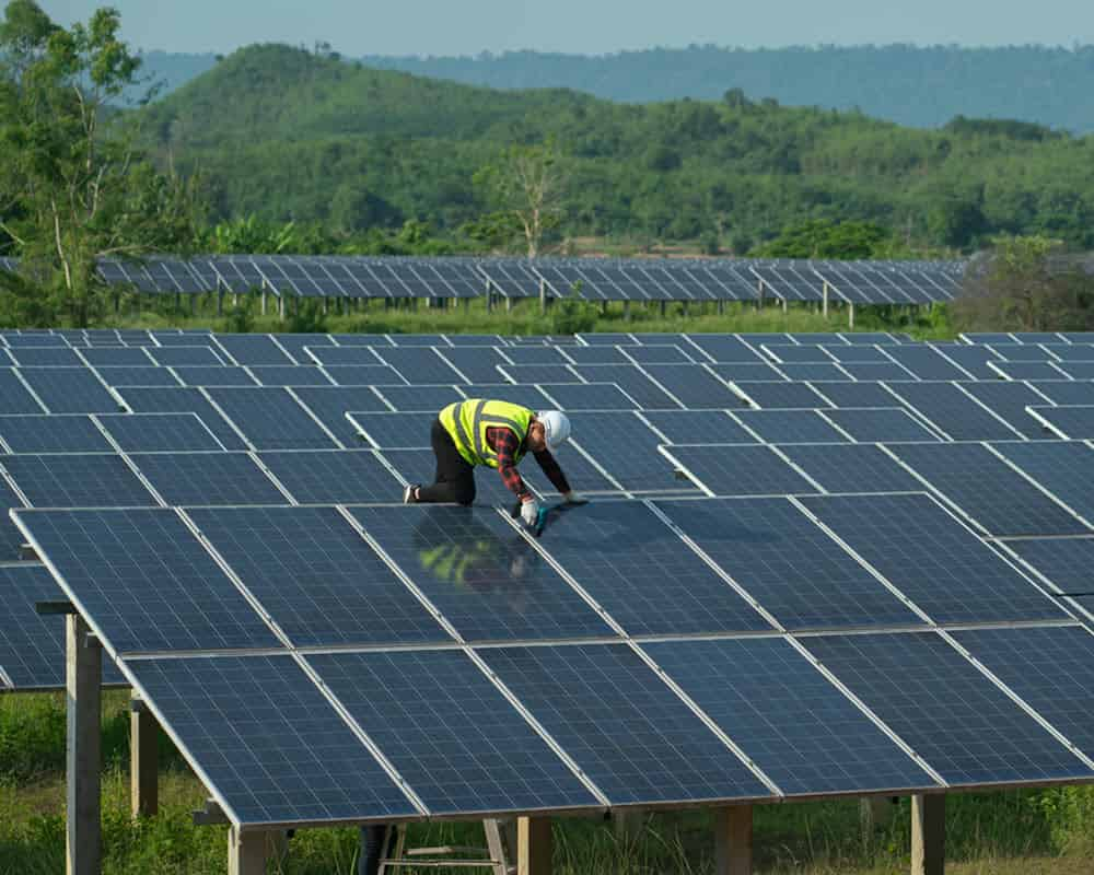 On-site solar farms consist of arrays of ground-mounted solar PV panels.